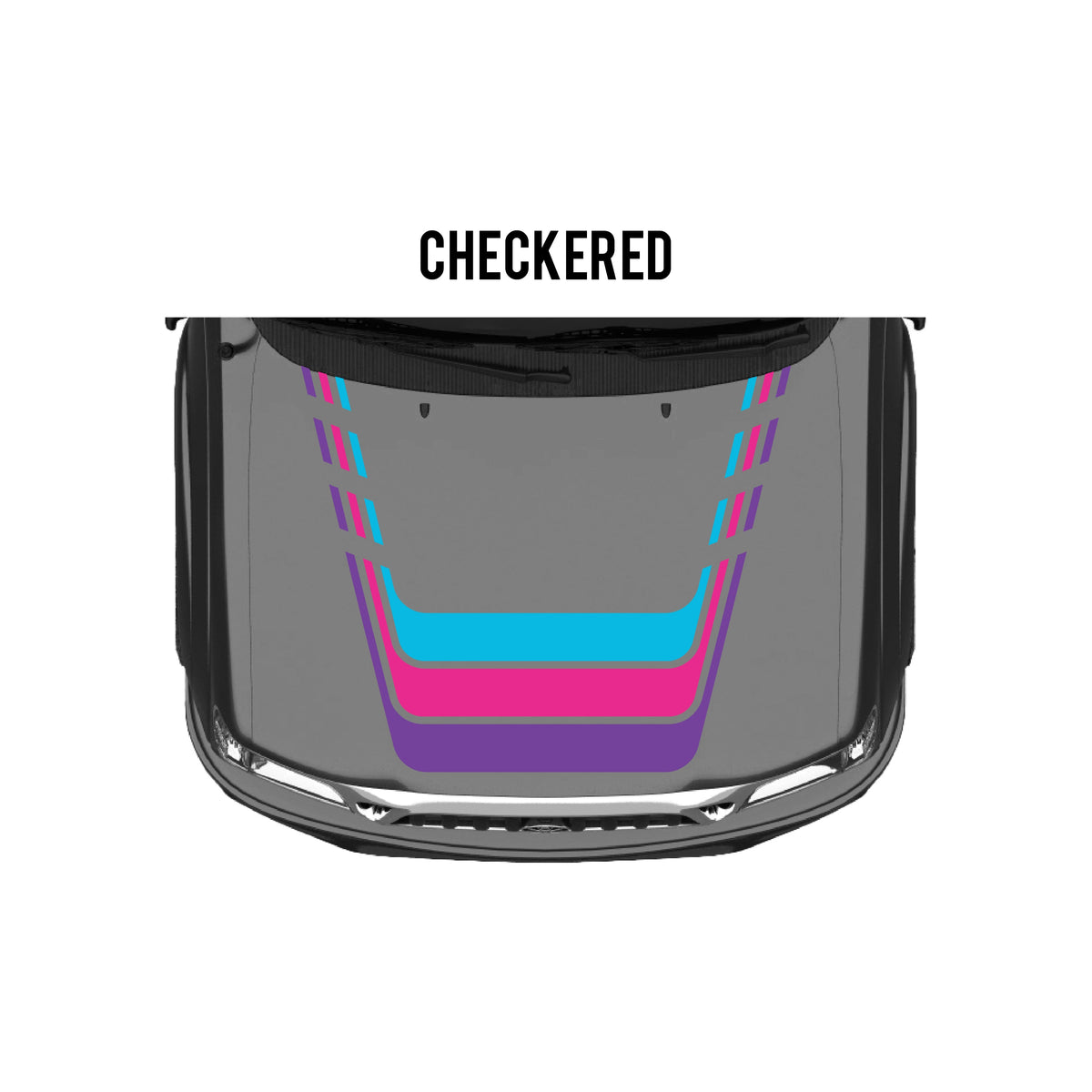 2001-04 Tacoma Checkered Stripe Kit