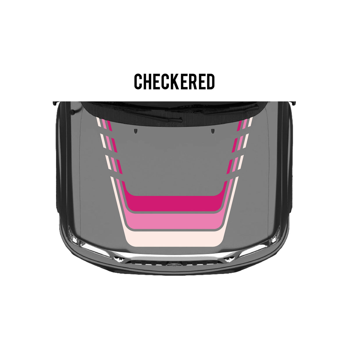 2001-04 Tacoma Checkered Stripe Kit