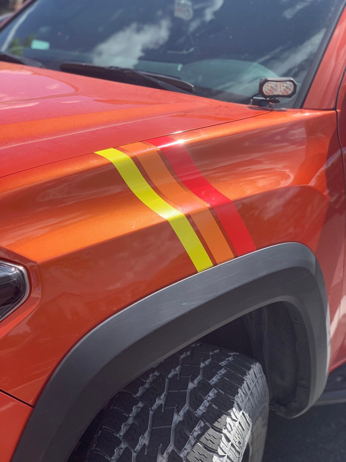 Medium Universal Stripes