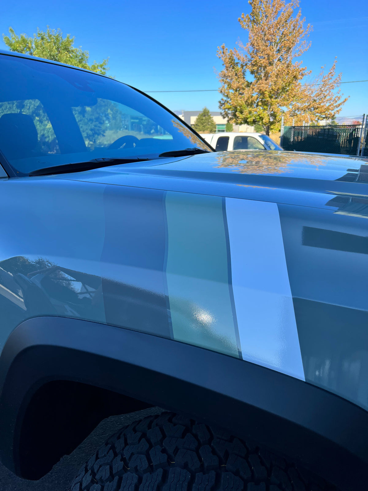 Large Universal Stripes